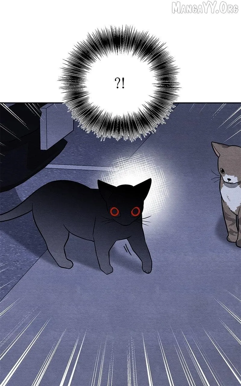 Guardian Girl Chapter 81 page 45 - 
