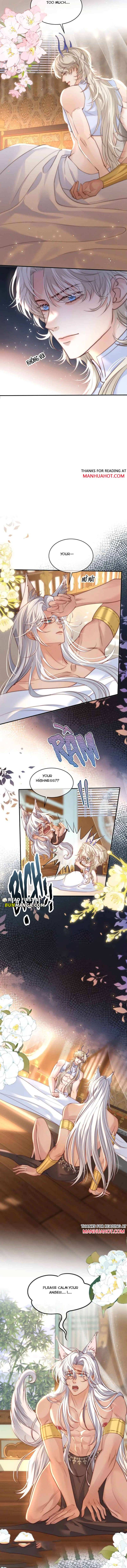 Read Guide Hunting chapter 14 image 7 on Lezhin
