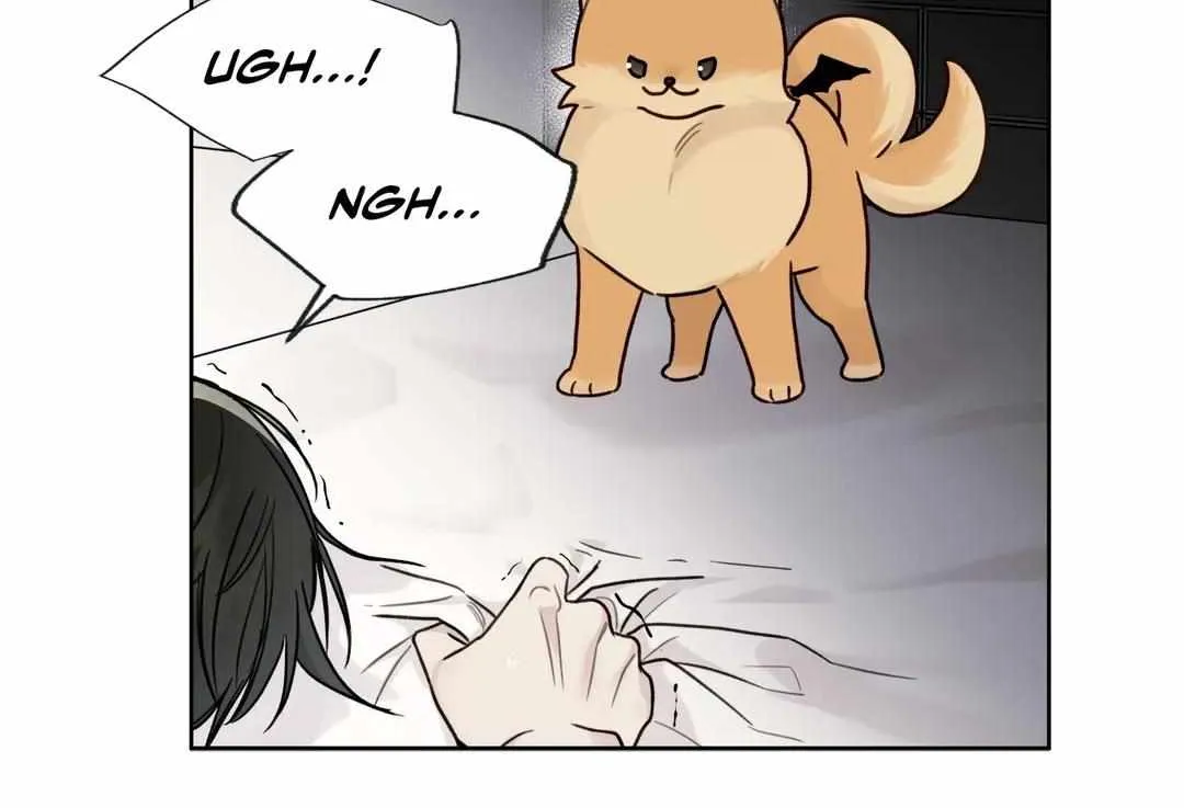 Read Guiding Hazard chapter 8 image 42 on Lezhin