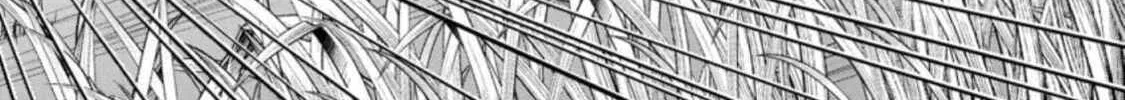 Read Guild no Cheat na Uketsukejou chapter 18 image 51 on Lezhin