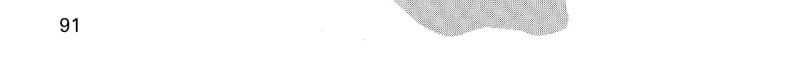 Read GUNSMITH CATS BURST chapter 3 image 1 on Lezhin