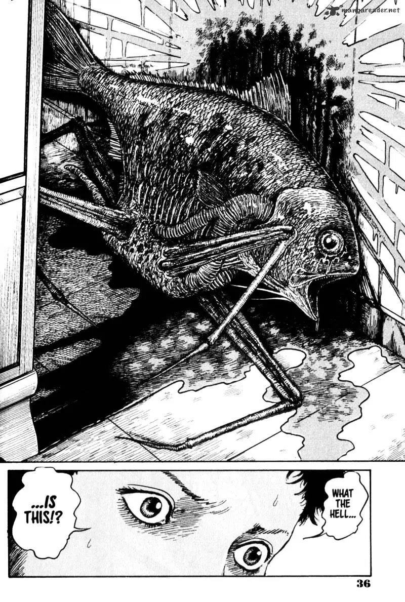 Read Gyo chapter 1 image 33 on Lezhin