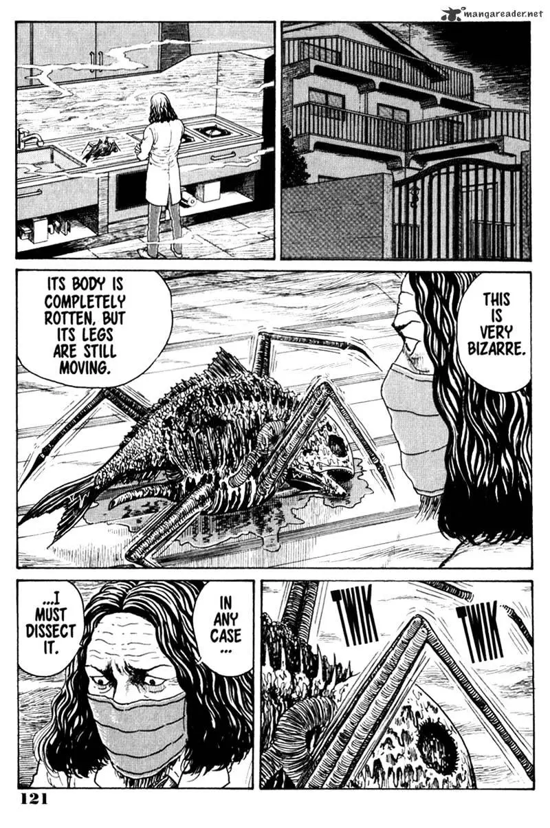 Read Gyo chapter 6 image 12 on Lezhin