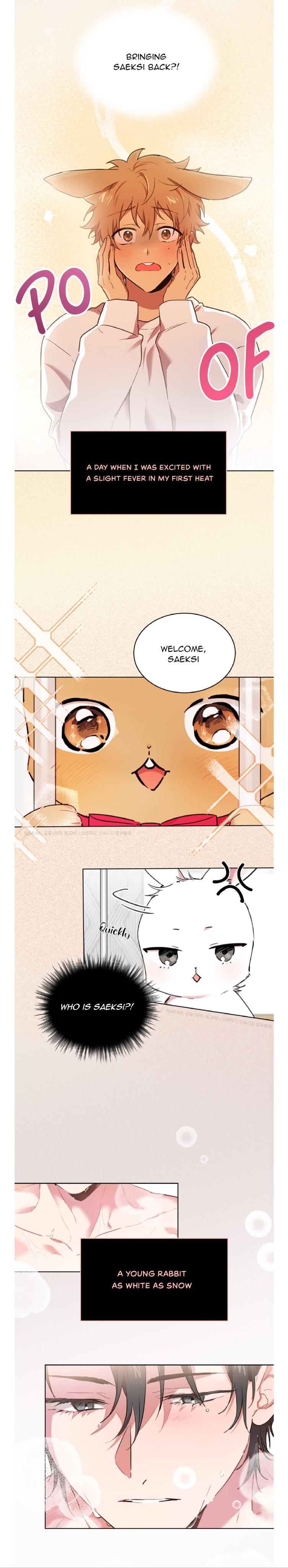 Read Habibi’s Rabbit chapter 0 image 3 on Lezhin