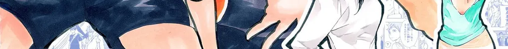 Read Haikyu!! (Official Colored) (Colored) chapter 207.5 image 3 on Lezhin