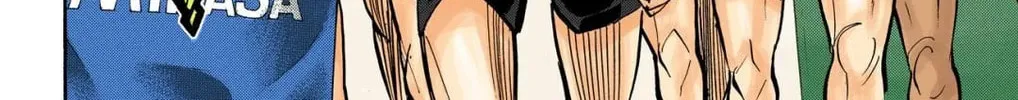 Read Haikyu!! (Official Colored) (Colored) chapter 248 image 33 on Lezhin