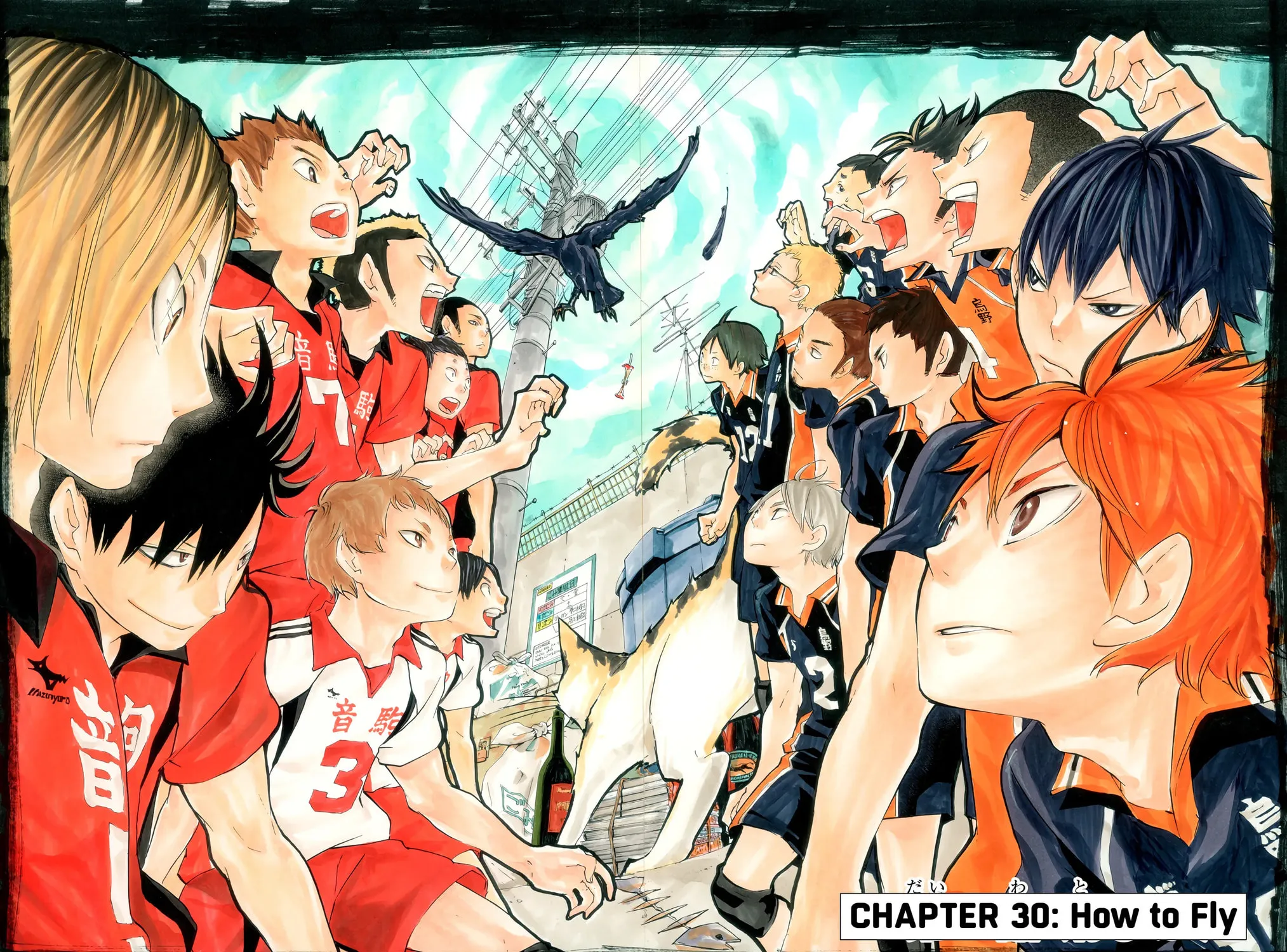 Read Haikyu!! (Official Colored) (Colored) chapter 30 image 6 on Lezhin
