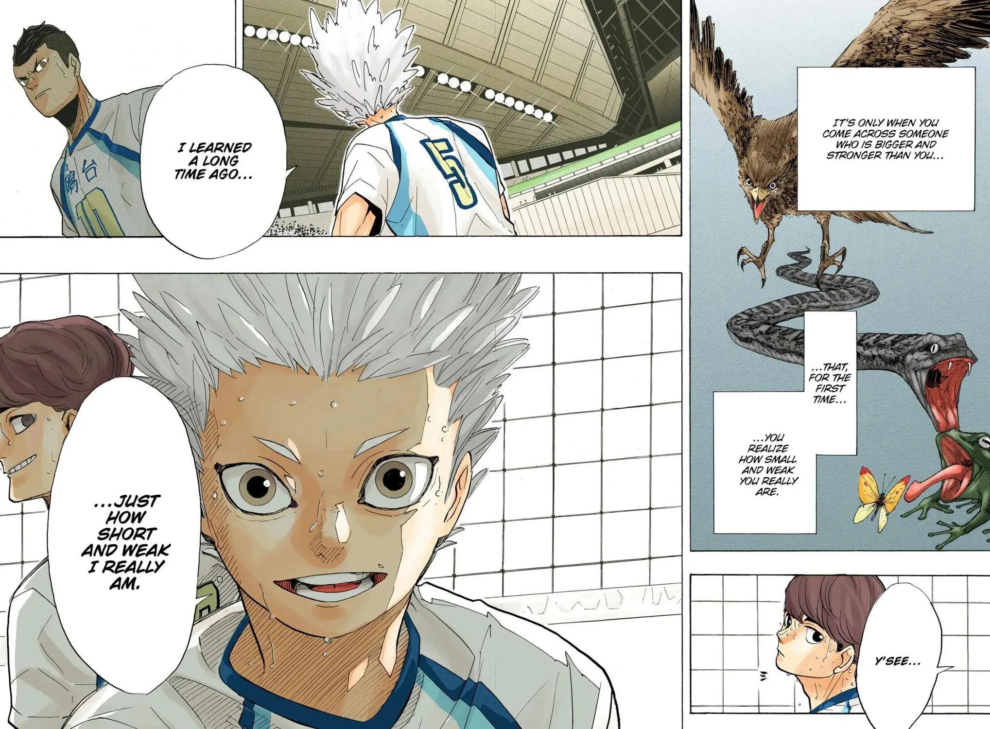 Read Haikyu!! (Official Colored) (Colored) chapter 343 image 34 on Lezhin