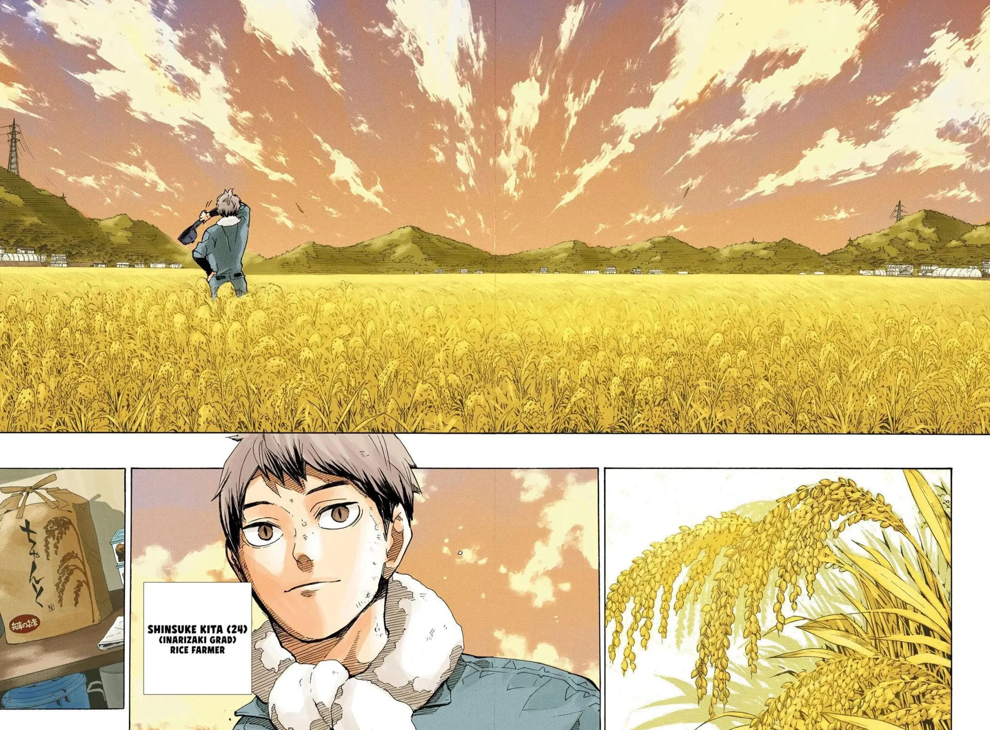 Read Haikyu!! (Official Colored) (Colored) chapter 391 image 30 on Lezhin