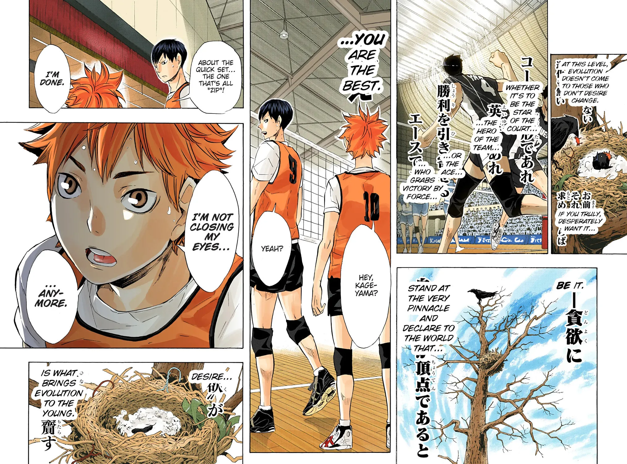 Read Haikyu!! (Official Colored) (Colored) chapter 80 image 34 on Lezhin