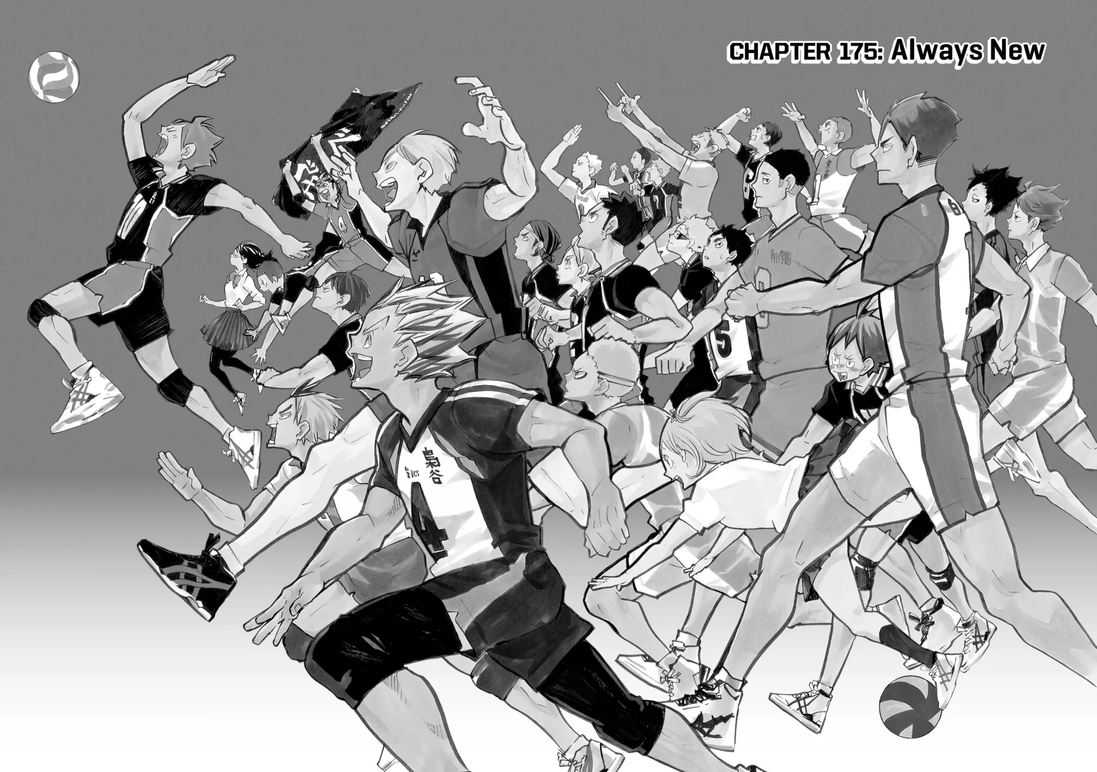 Read Haikyu!! chapter 175 image 2 on Lezhin