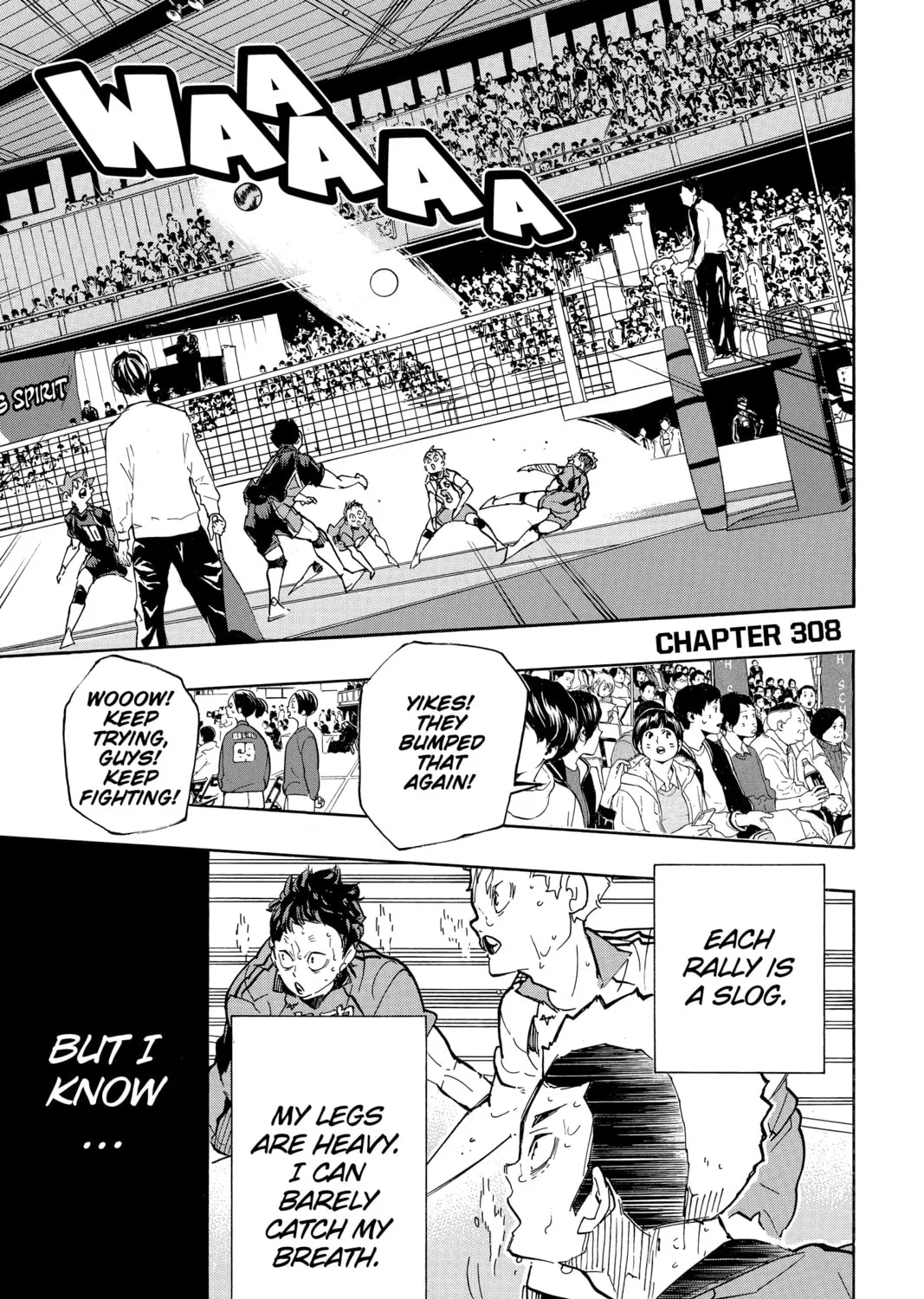 Read Haikyu!! chapter 308 image 0 on Lezhin