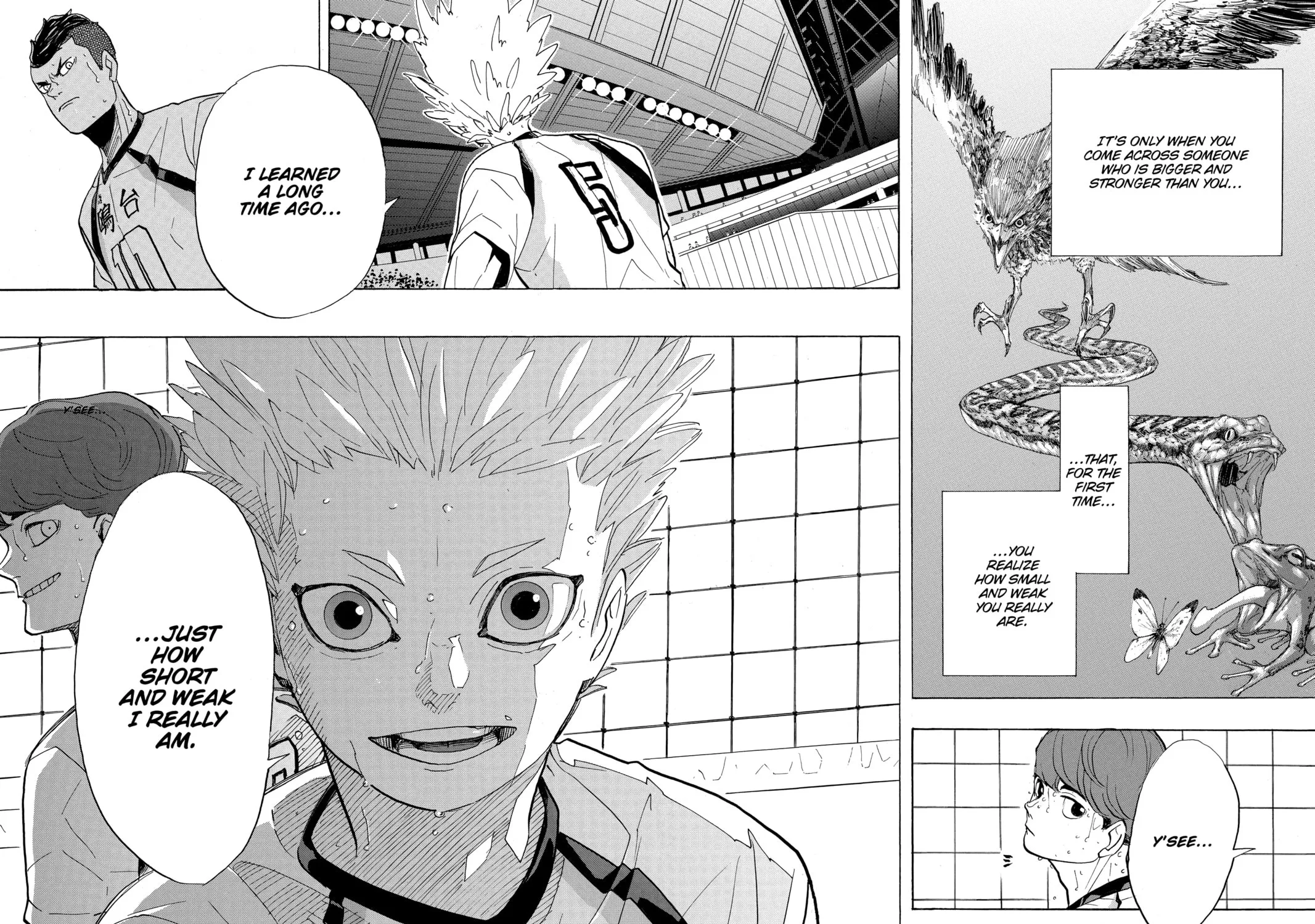 Read Haikyu!! chapter 343 image 36 on Lezhin