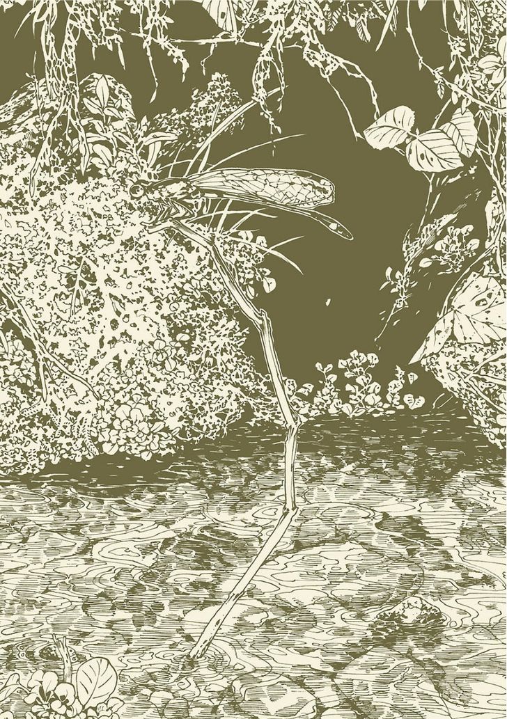 Read Hakumei To Mikochi chapter 9 image 2 on Lezhin