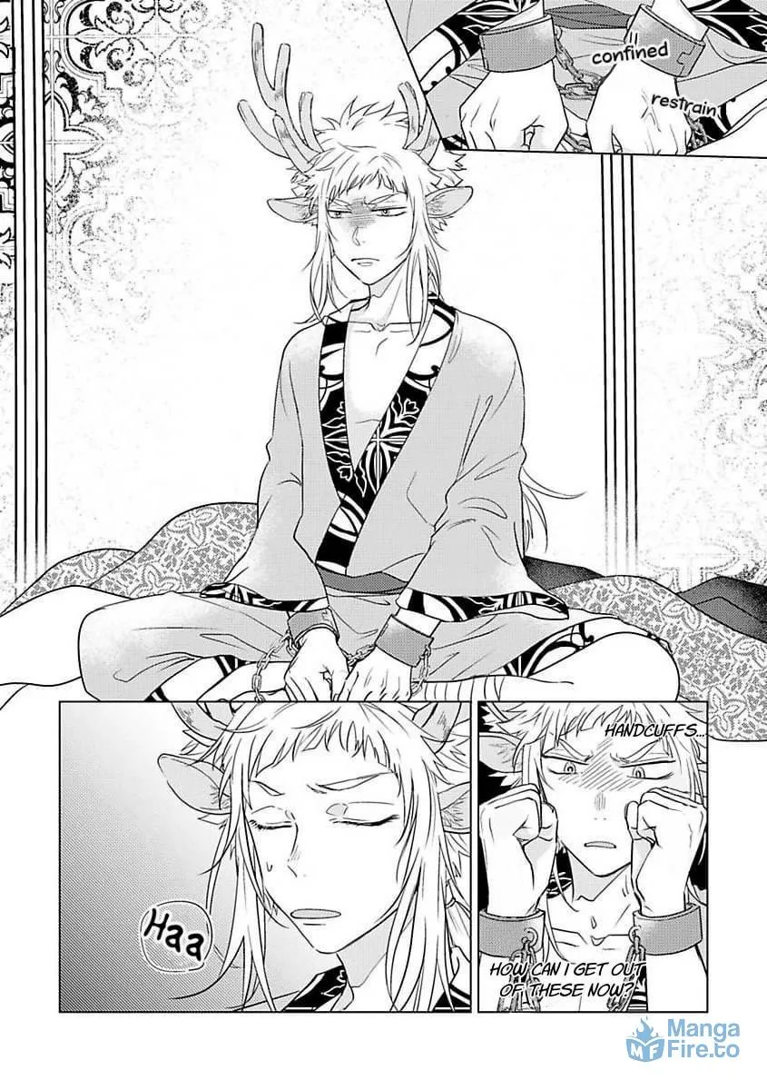 Read Hakuran no Kemono chapter 1 image 23 on Lezhin