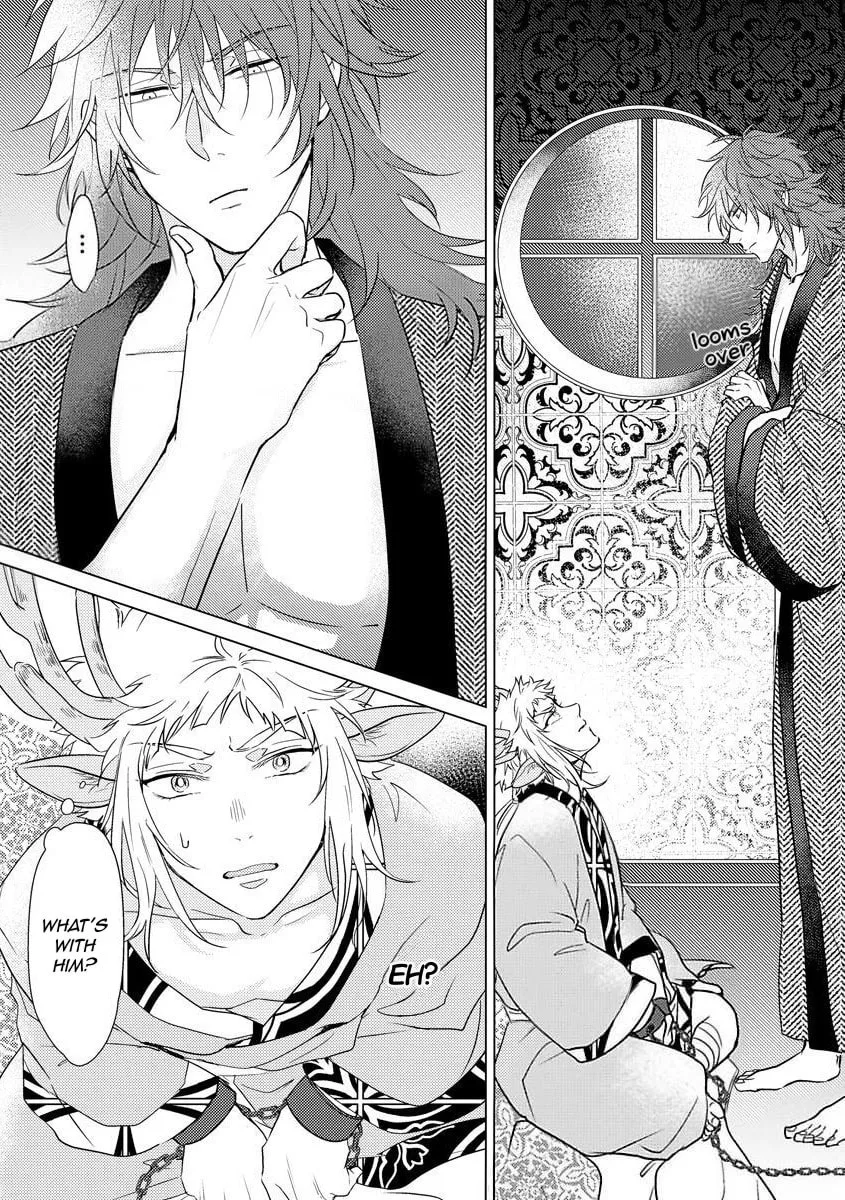 Read Hakuran no Kemono chapter 1 image 25 on Lezhin