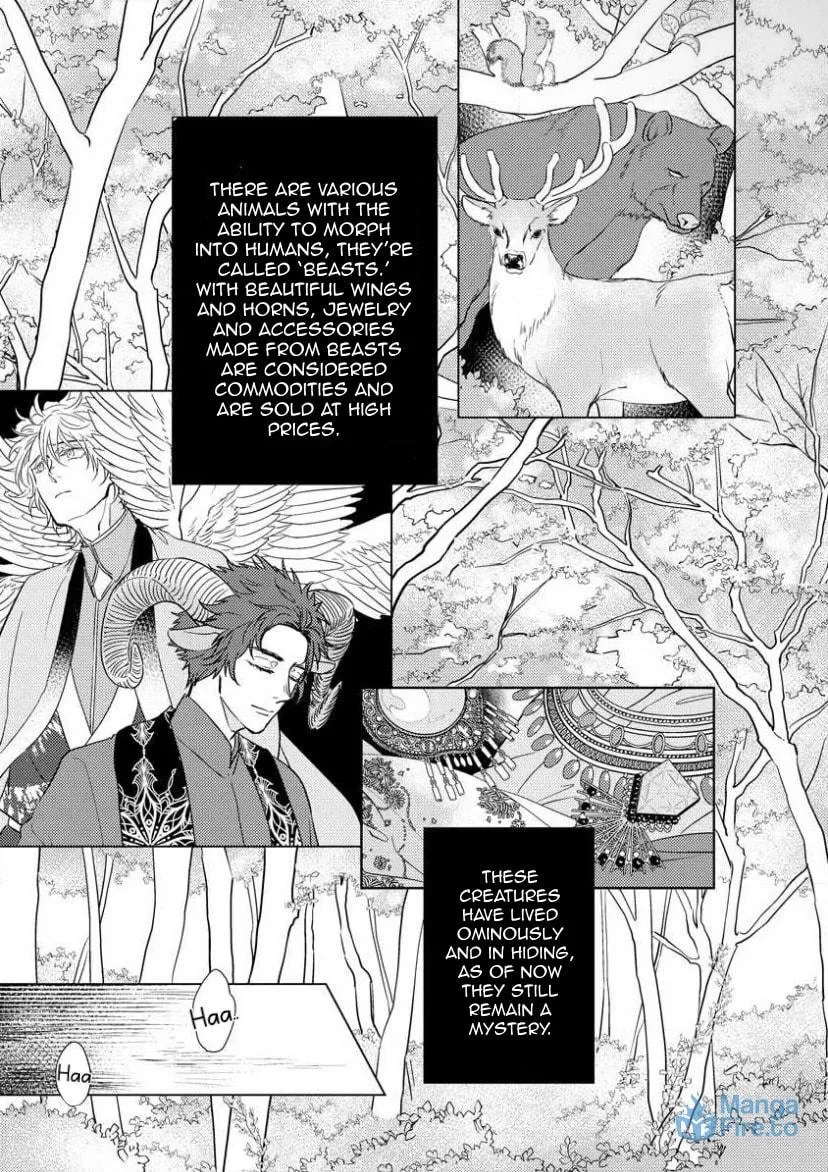 Read Hakuran no Kemono chapter 1 image 8 on Lezhin
