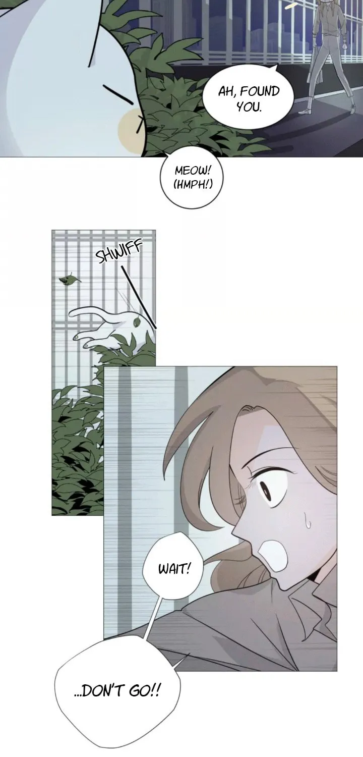 Read Half (Colored) chapter 1 image 31 on Lezhin