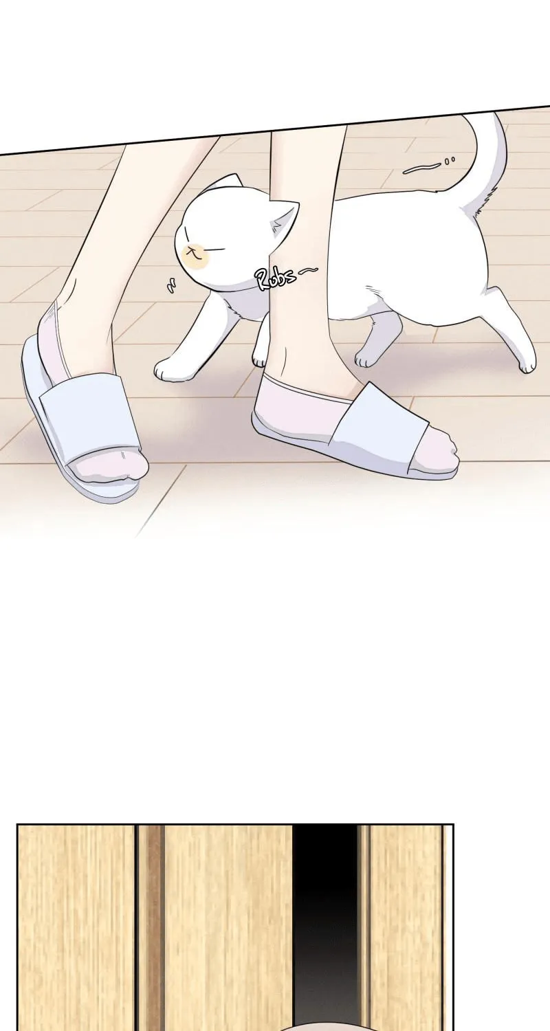 Read Half (Colored) chapter 16 image 3 on Lezhin