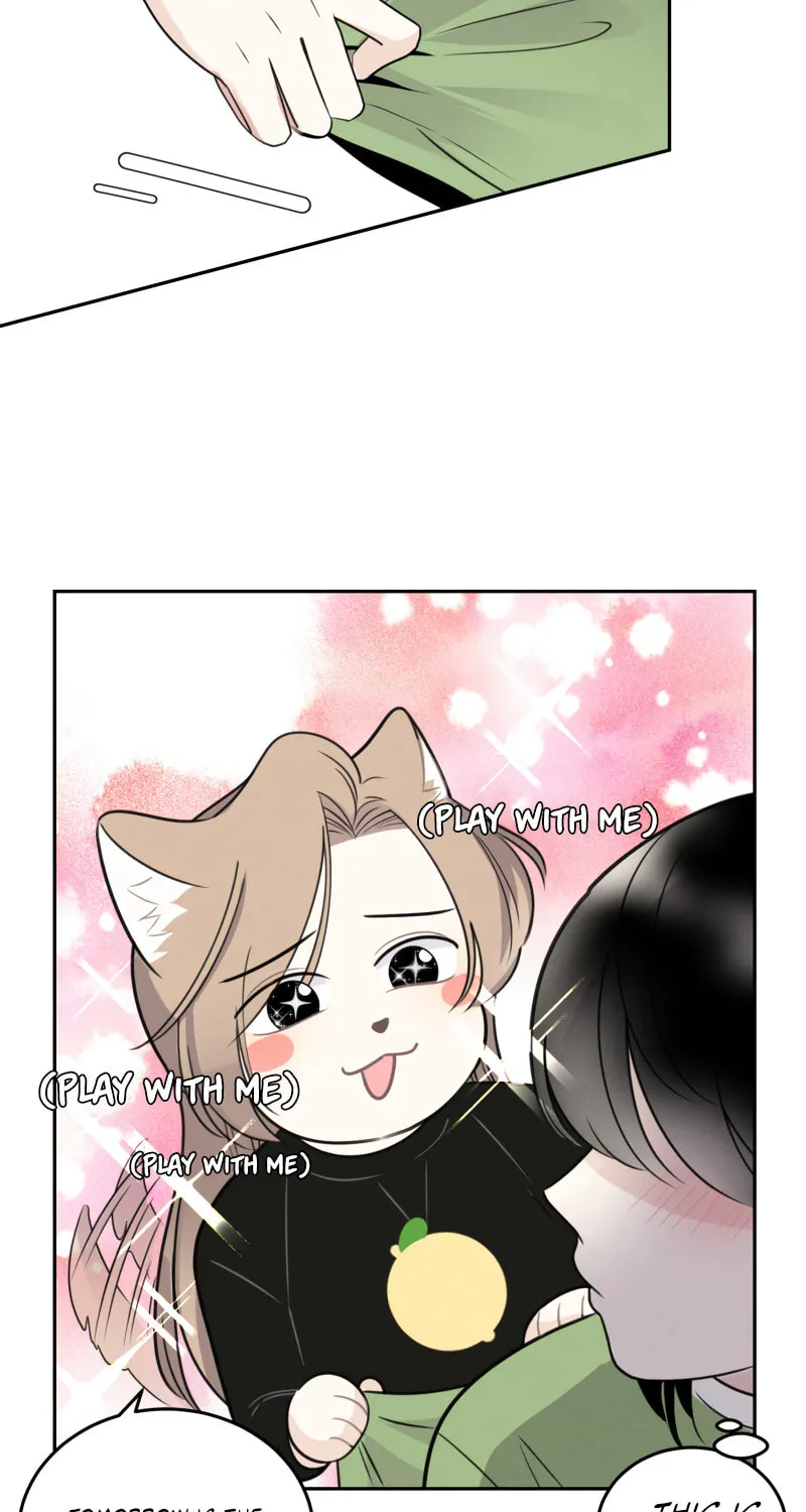 Read Half (Colored) chapter 52 image 3 on Lezhin