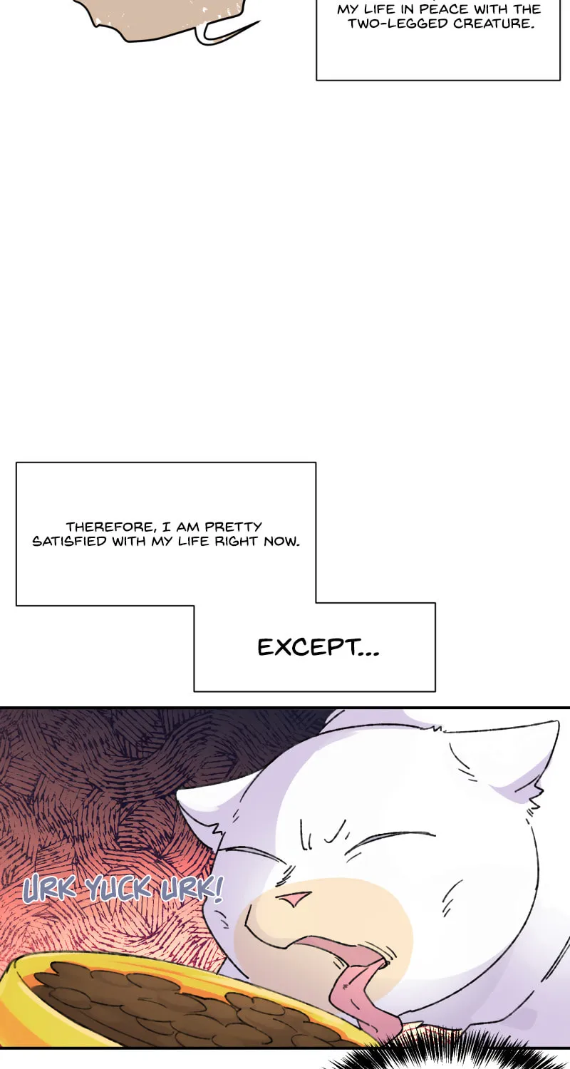 Read Half (Colored) chapter 79.1 image 17 on Lezhin
