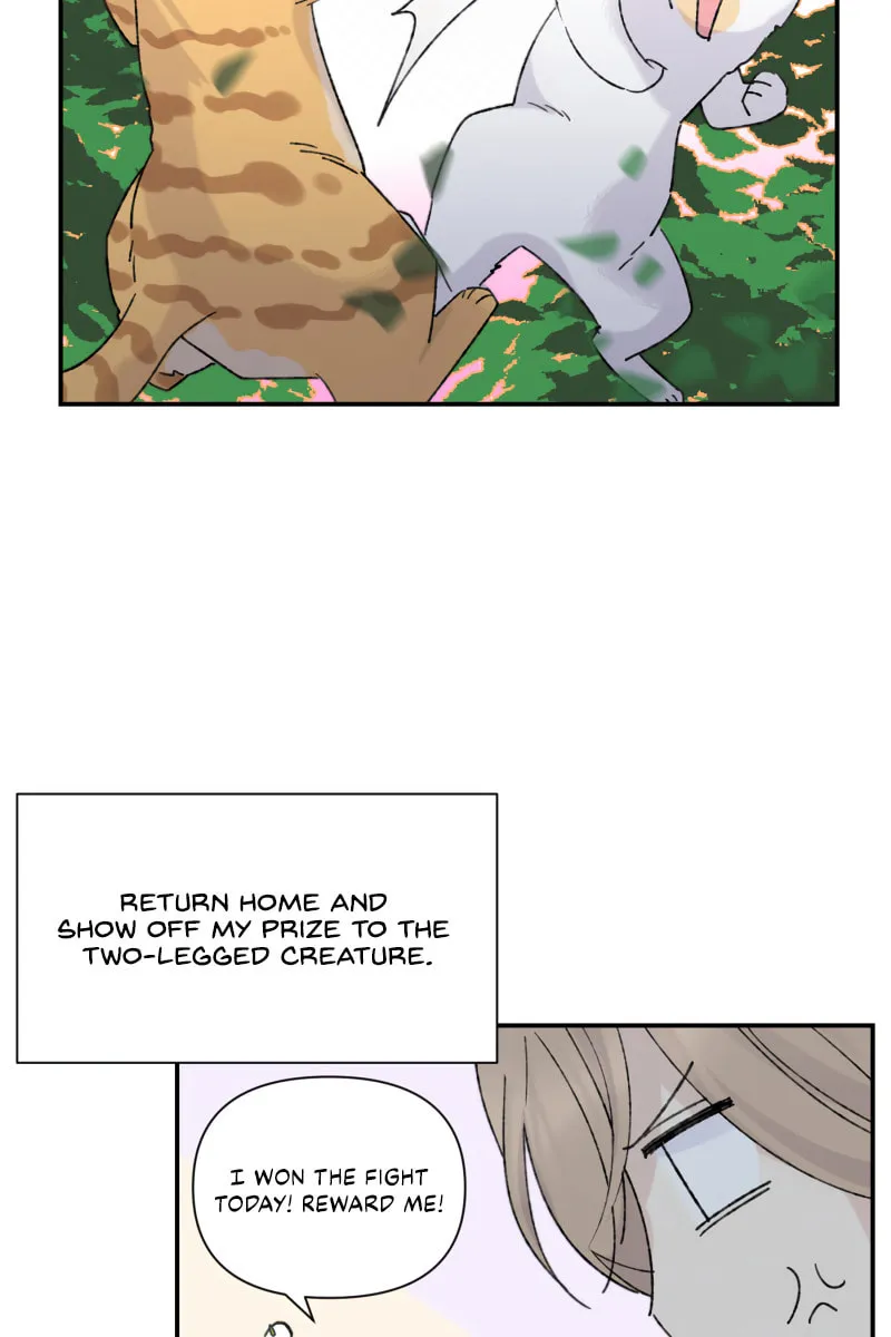 Read Half (Colored) chapter 79.1 image 24 on Lezhin