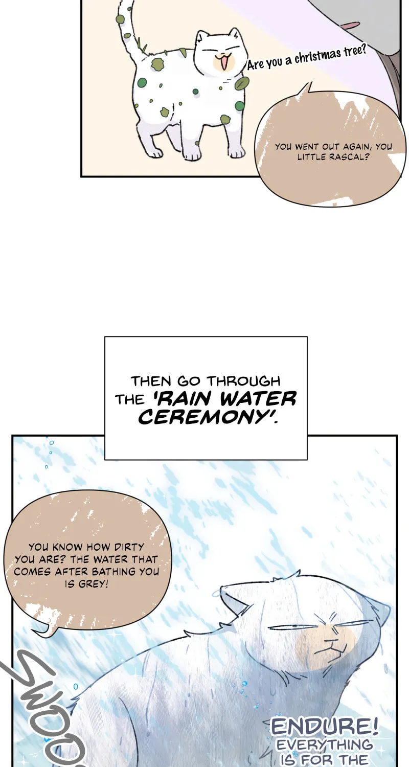 Read Half (Colored) chapter 79.1 image 25 on Lezhin
