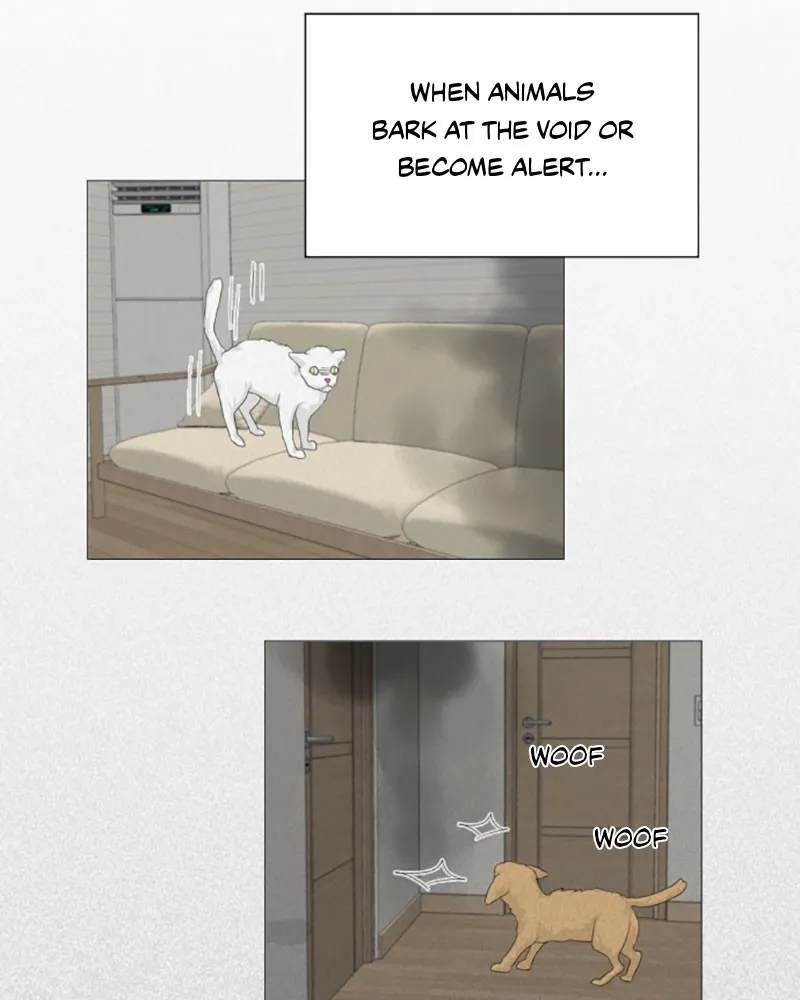 Read Half-Ghost chapter 2 image 4 on Lezhin