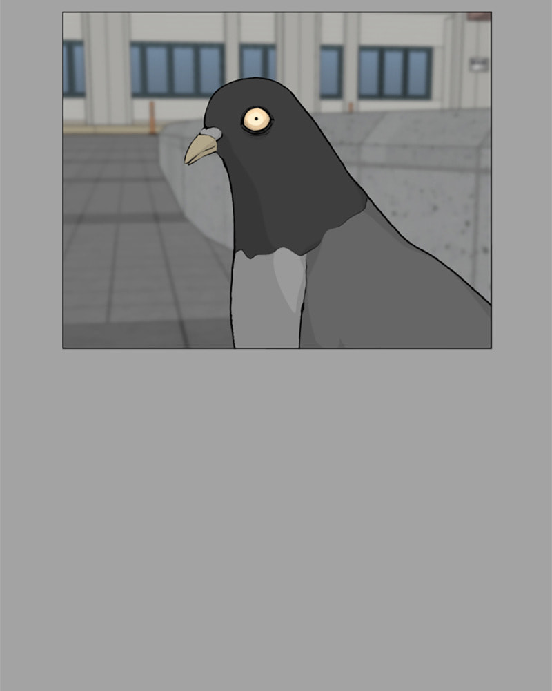 Read Half-Ghost chapter 51 image 66 on Lezhin