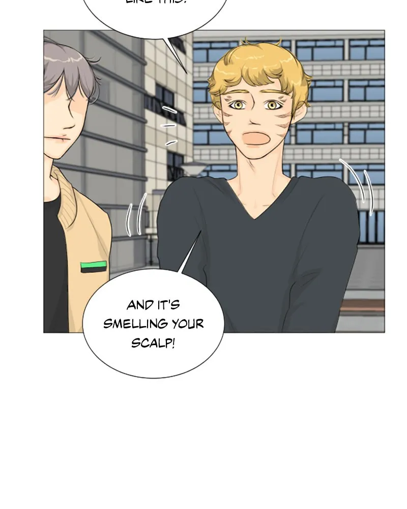 Read Half-Ghost chapter 6 image 19 on Lezhin