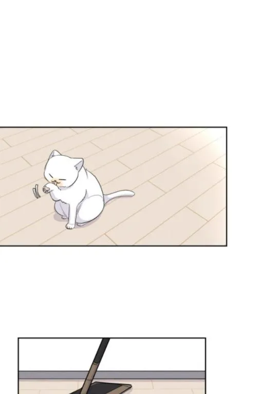 Read Half chapter 30 image 25 on Lezhin