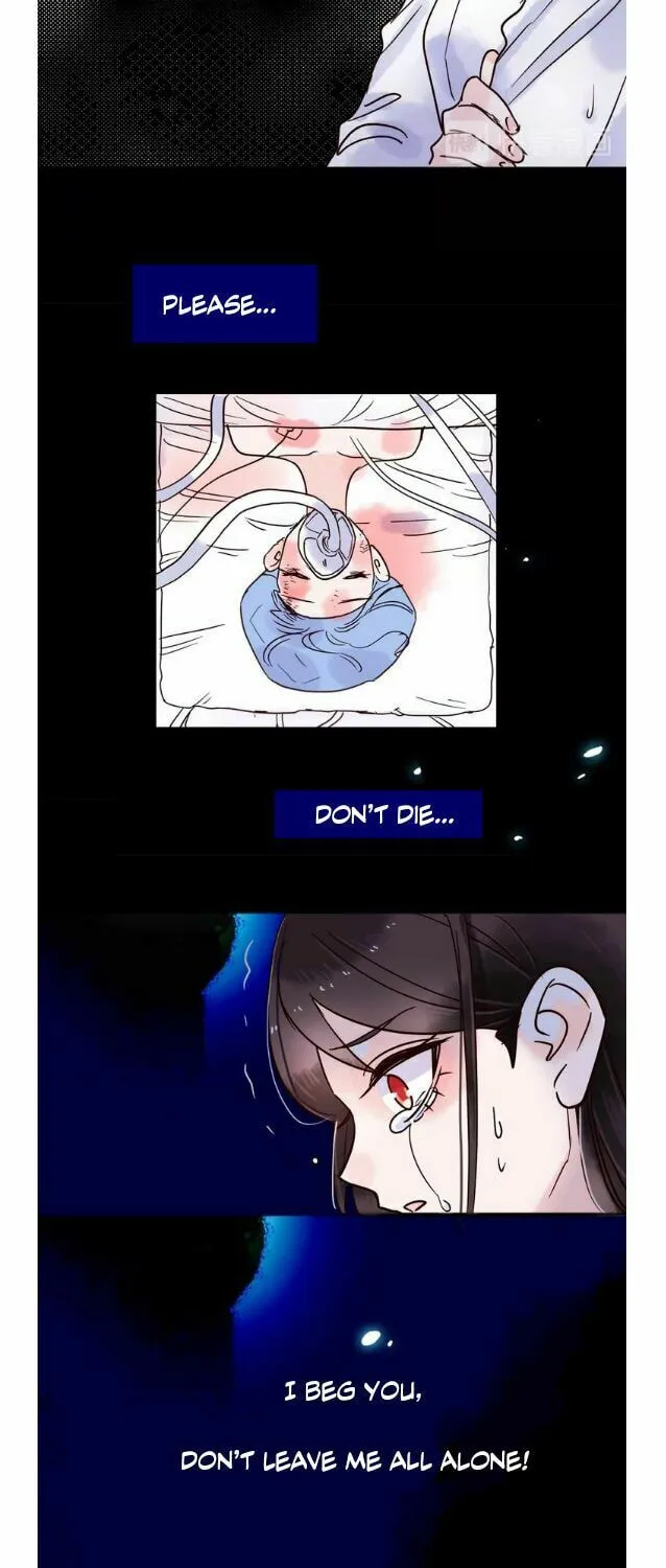 Read Hallucination from the Womb chapter 12 image 8 on Lezhin