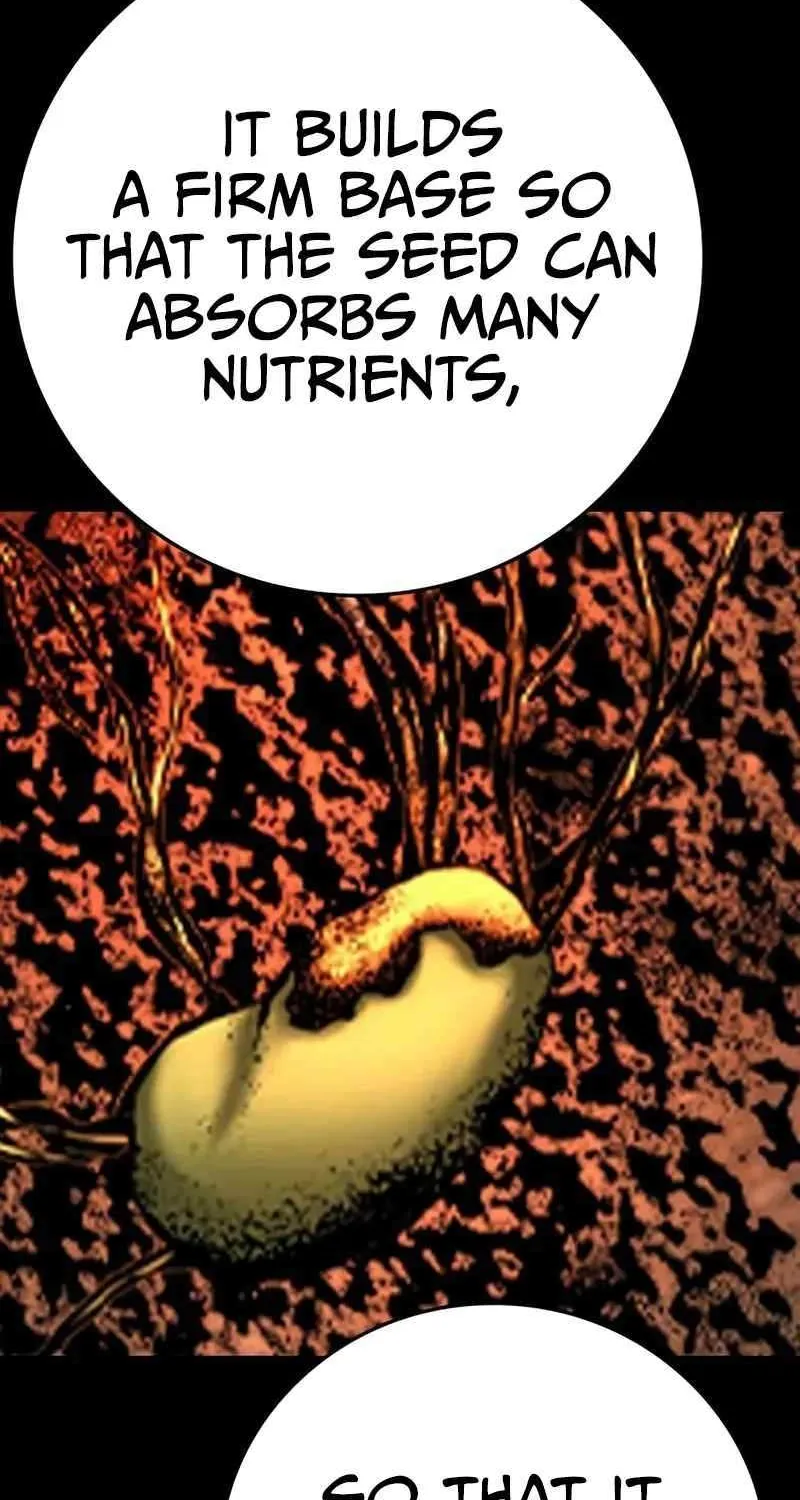 Hallym Gymnasium Chapter 204 page 70 - 