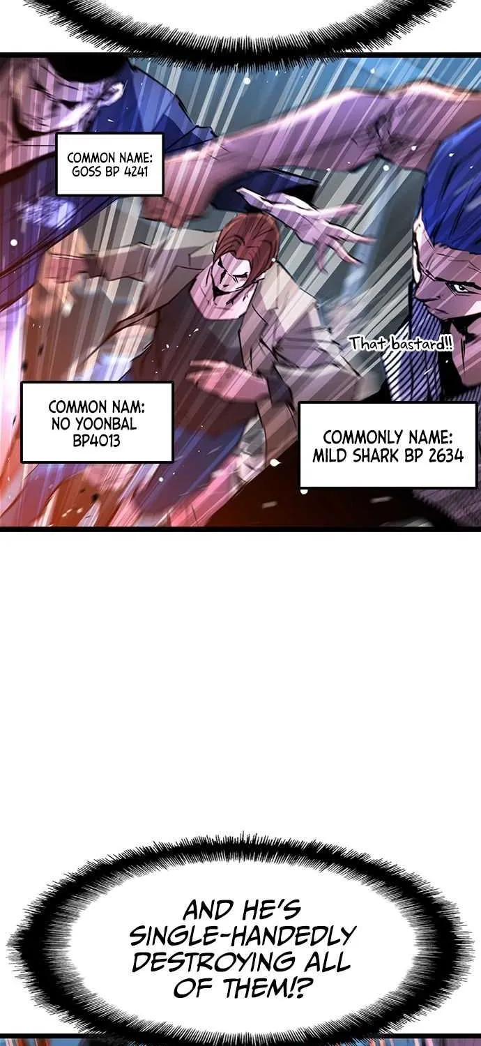 Hallym Gymnasium Chapter 78 page 35 - 