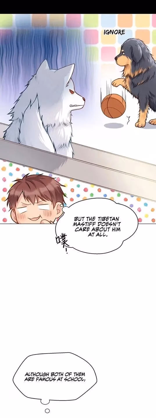 Read Han Yuan chapter 1 image 9 on Lezhin