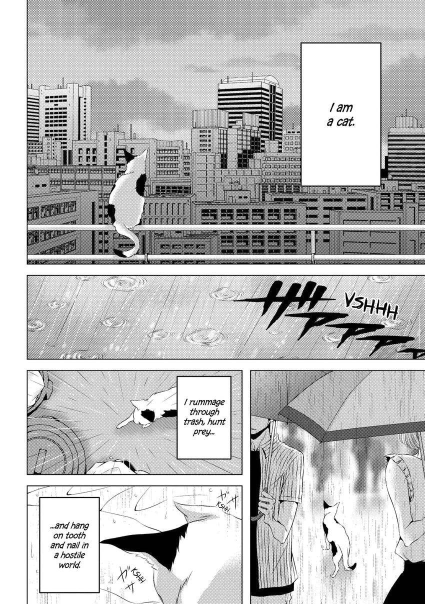Read Hana to Junketsu chapter 4.2 image 1 on Lezhin