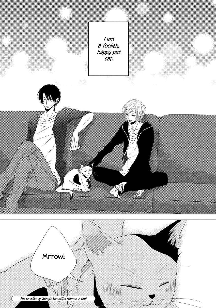 Read Hana to Junketsu chapter 4.2 image 39 on Lezhin