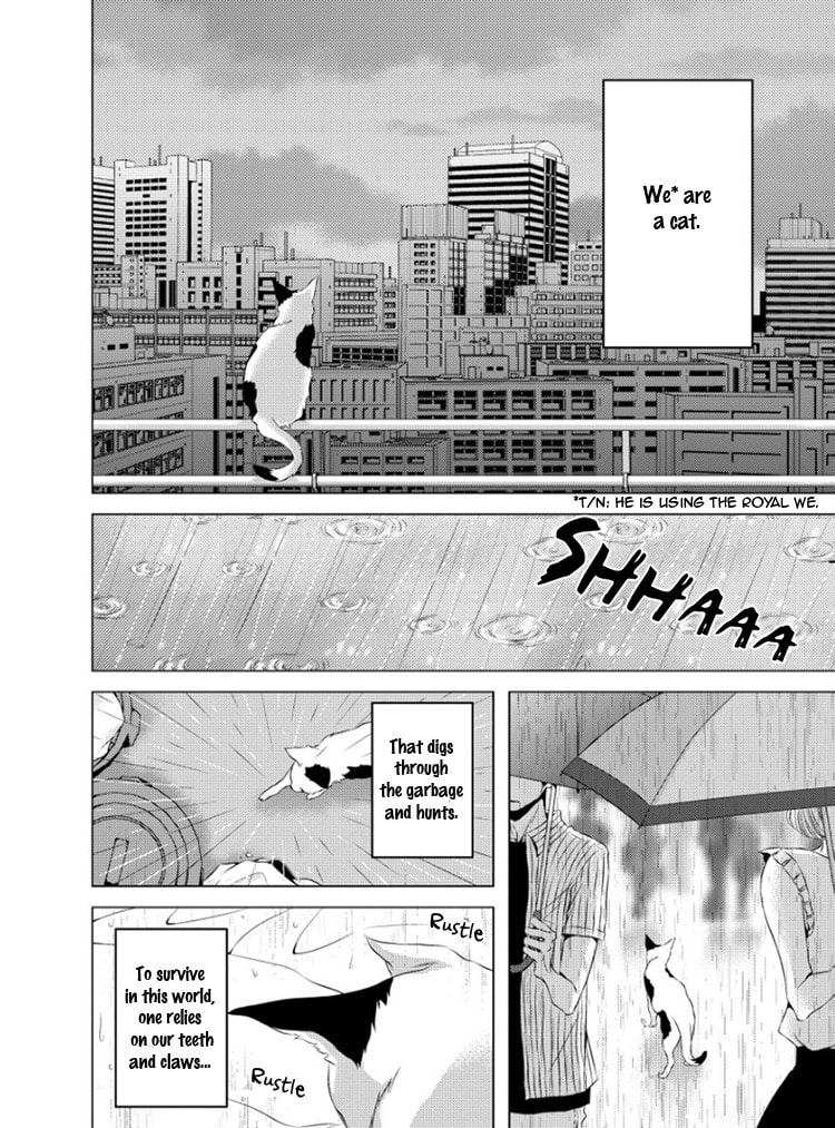Read Hana to Junketsu chapter 5 image 6 on Lezhin
