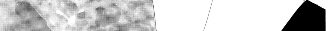 Read Hana Yori Dango chapter 146 image 37 on Lezhin