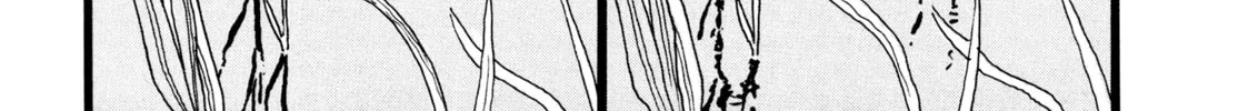 Read Hanashippanashi chapter 43 image 13 on Lezhin