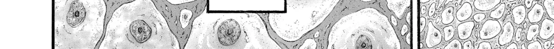 Hanma Baki - Son of Ogre (Shinsoban Release) Chapter 257 page 100 - 