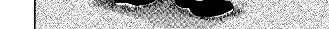 Hanma Baki - Son of Ogre (Shinsoban Release) Chapter 258 page 10 - 
