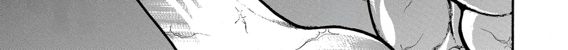 Hanma Baki - Son of Ogre (Shinsoban Release) Chapter 264 page 36 - 