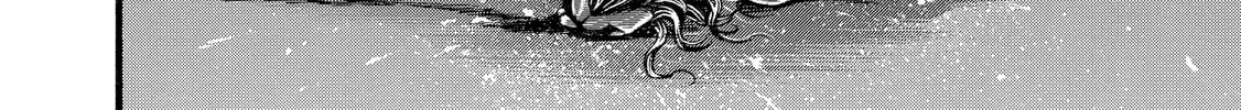 Hanma Baki - Son of Ogre (Shinsoban Release) Chapter 285 page 32 - 
