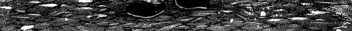 Hanma Baki - Son of Ogre (Shinsoban Release) Chapter 286 page 2 - 