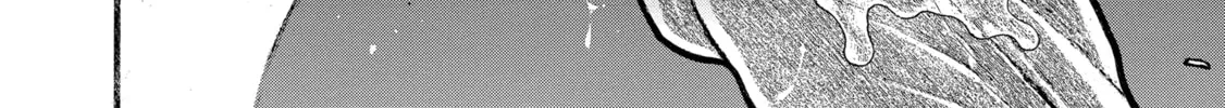 Hanma Baki - Son of Ogre (Shinsoban Release) Chapter 288 page 20 - 