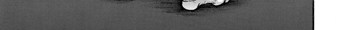 Hanma Baki - Son of Ogre (Shinsoban Release) Chapter 291 page 2 - 