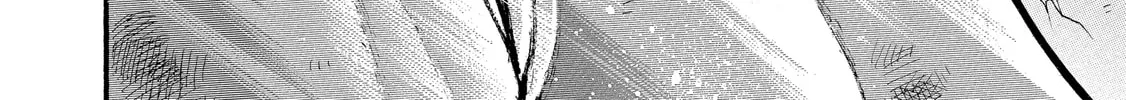 Hanma Baki - Son of Ogre (Shinsoban Release) Chapter 310 page 34 - 