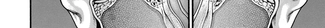 Hanma Baki - Son of Ogre (Shinsoban Release) Chapter 316 page 20 - 