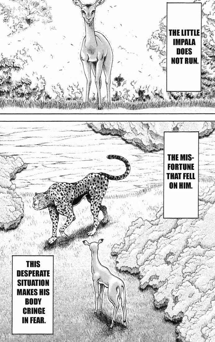 Read Hanma Baki chapter 137 image 5 on Lezhin